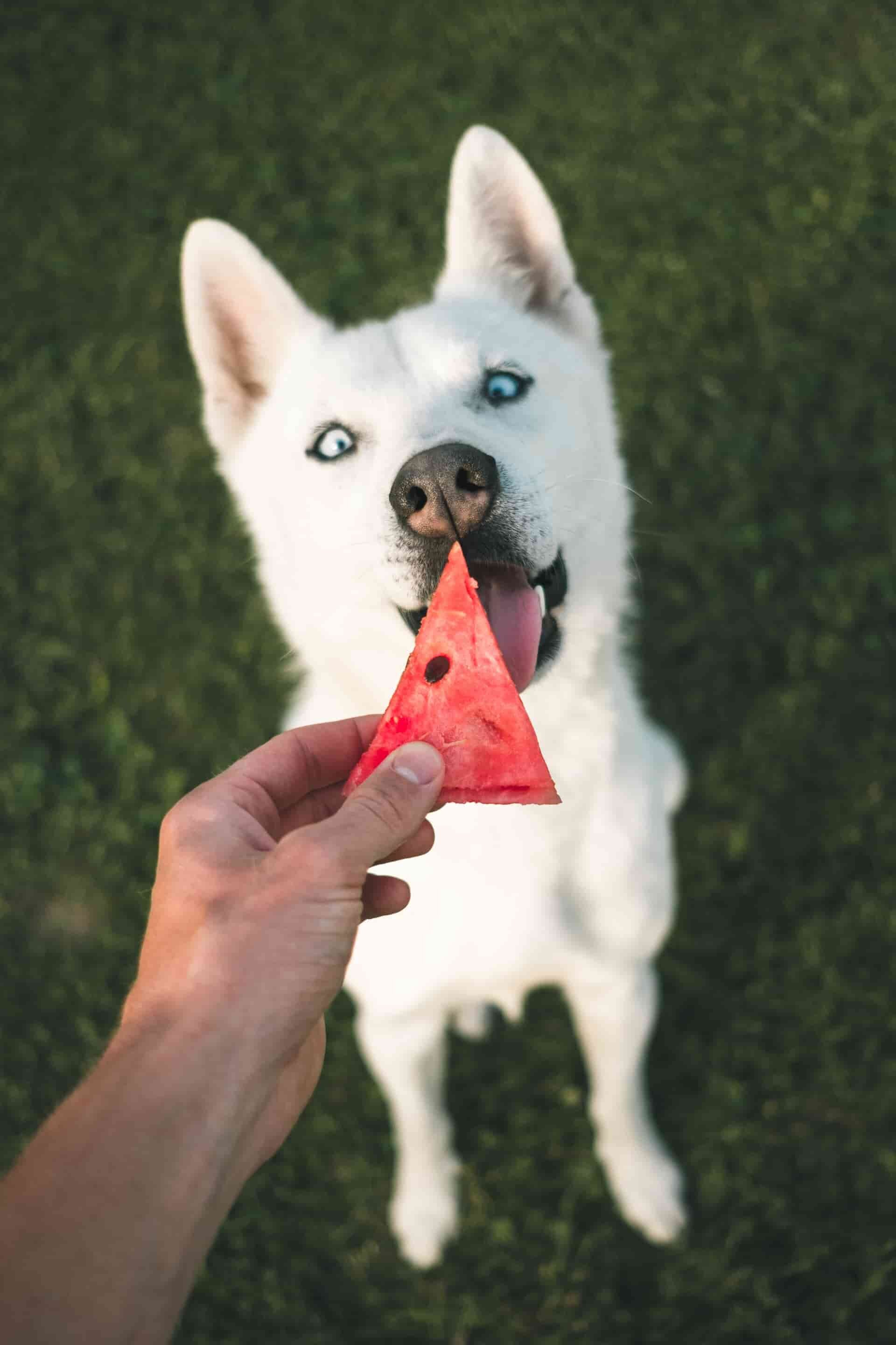 Positive reinforcement 